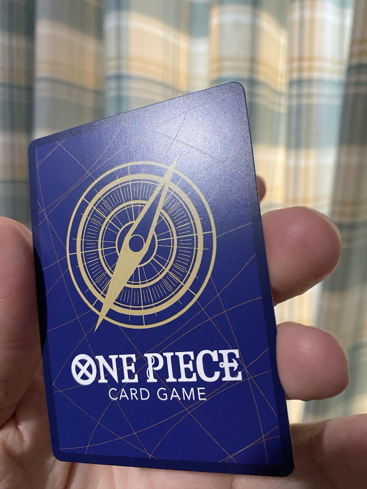 One Piece TCG Carrying on His Will Portgas D Ace Alt Art OP13-119 SEC Rare! NM!