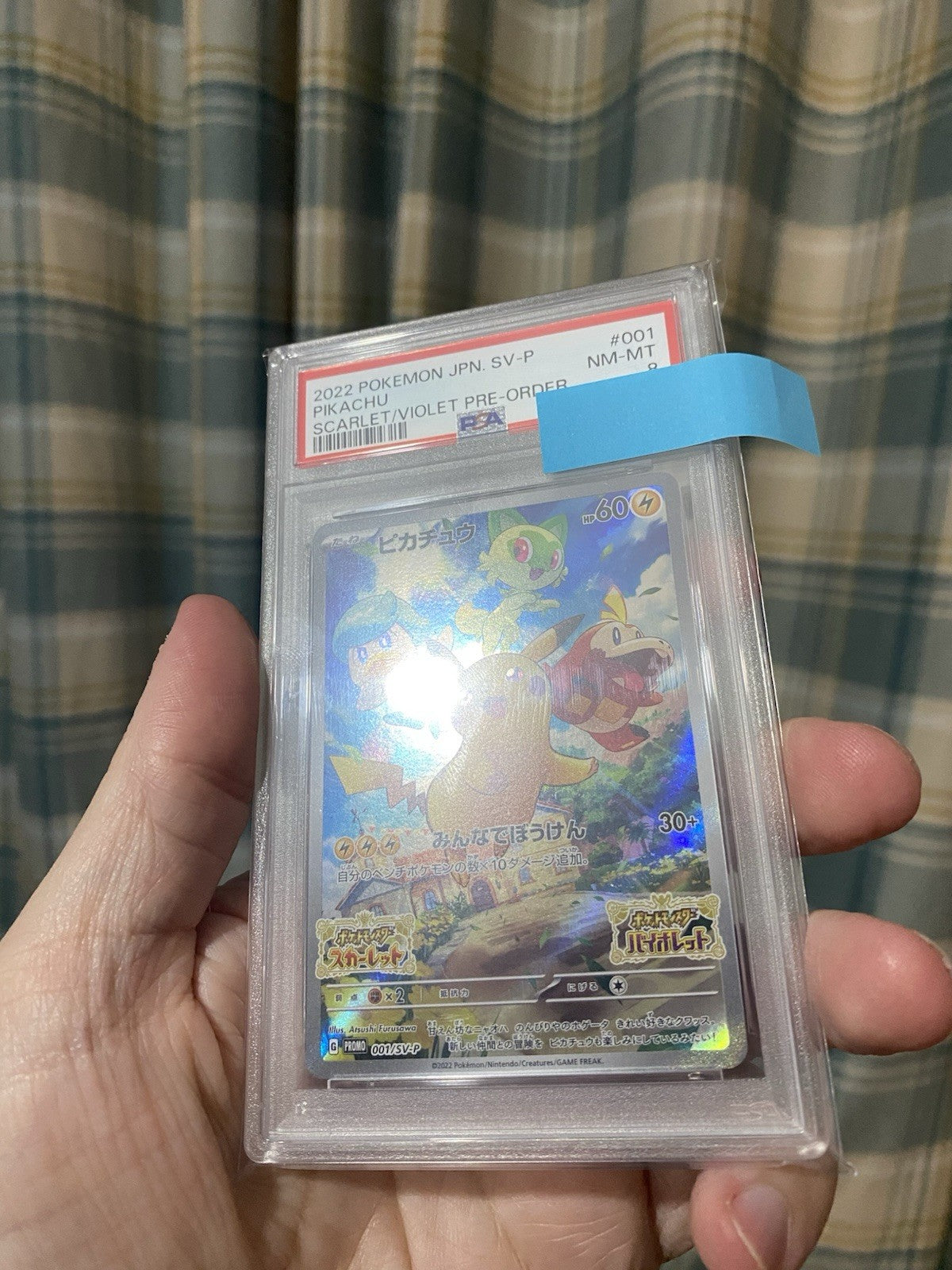 PSA 8 Pikachu 001/SV-P Sv Promo Japanese Pokemon TCG Quaxly Sprigatito Fuecoco!