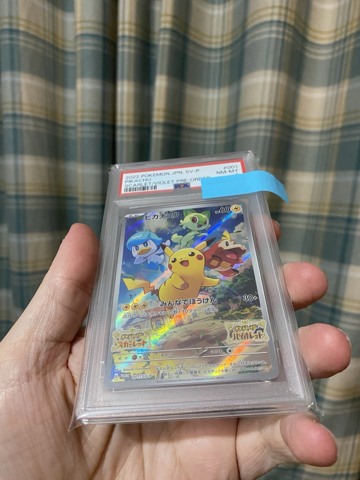 PSA 8 Pikachu 001/SV-P Sv Promo Japanese Pokemon TCG Quaxly Sprigatito Fuecoco!